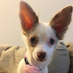 Meet your Posher, Jan